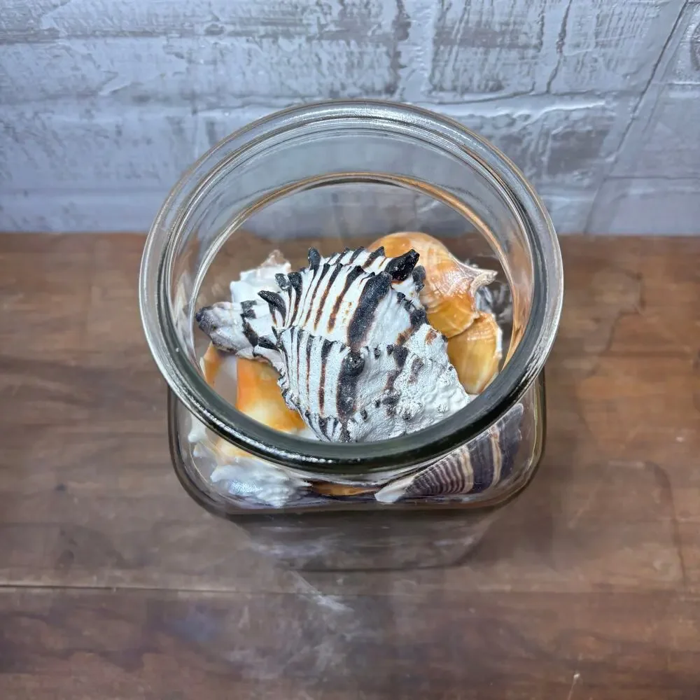 Large Glass Jar Filled with Assorted Seashells